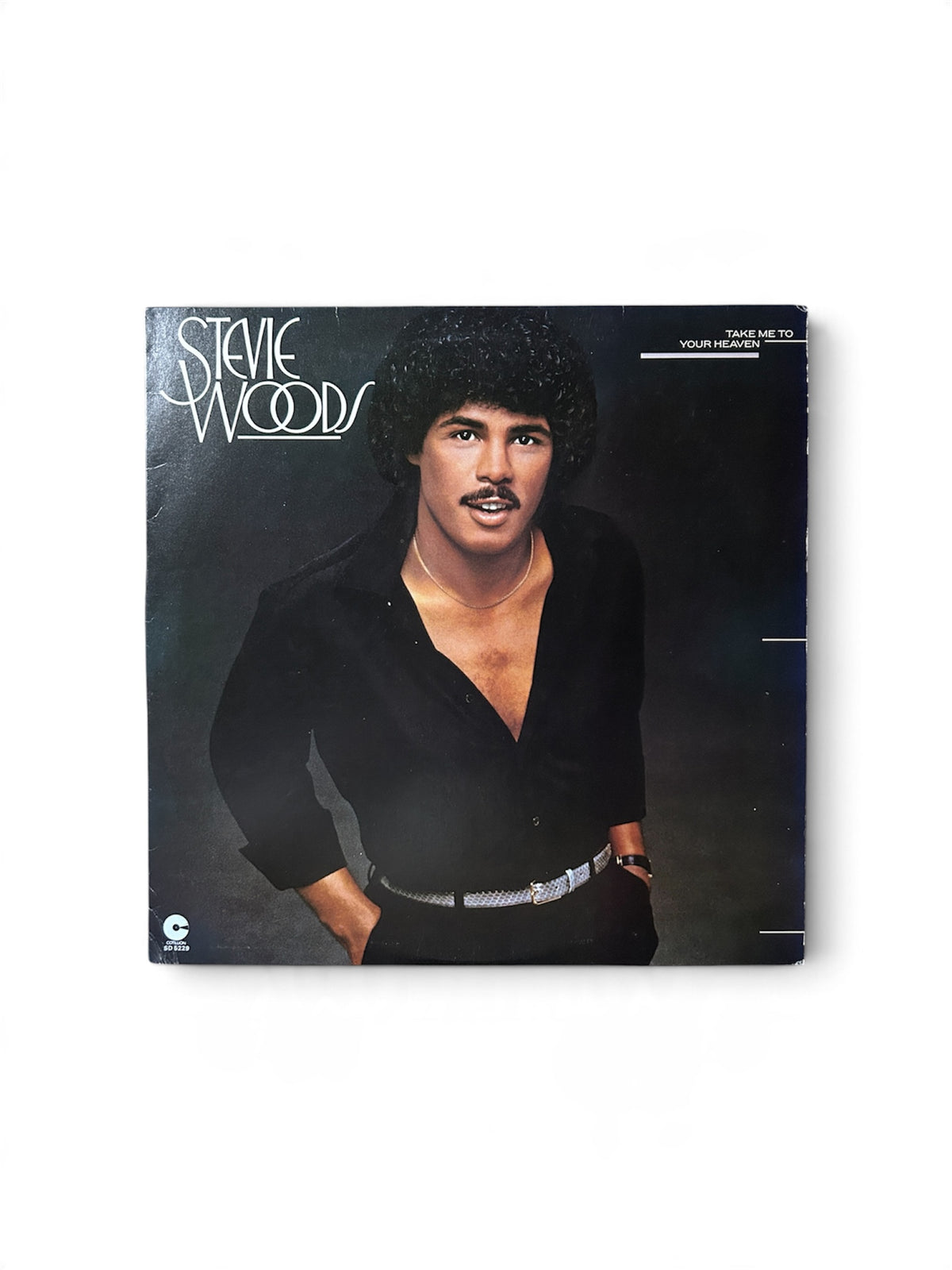 Stevie Woods – Take Me to Your Heaven